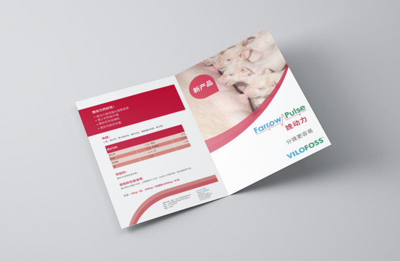 豬類產(chǎn)品宣傳二折頁(yè)設(shè)計(jì)